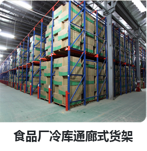 食品廠冷庫(kù)通廊式貨架